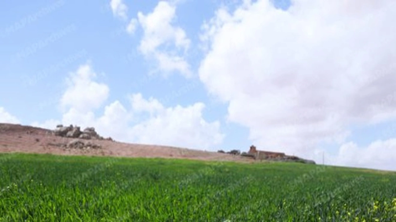 حالة الطقس اليوم الأربعاء في المغرب وفق توقعات مديرية الأرصاد الجوية